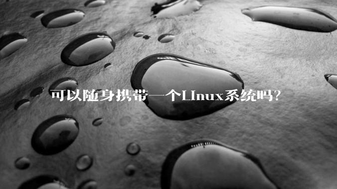 可以随身携带一个Linux系统吗？